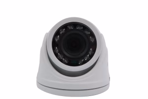 ae748c_92a2094d49d24f9a8867365cd2d43a4d~mv2