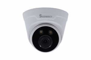 Seenergy SE-1080LDW / 2 MEGAPIXEL 1080P IR DOME KAMERA FULL COLOR