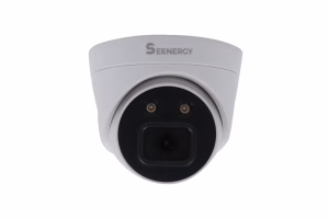 Seenergy SE-IPC1080LDA / 2 MEGAPIXEL 1080P (DAHİLİ SES) IR DOME IP KAMERA